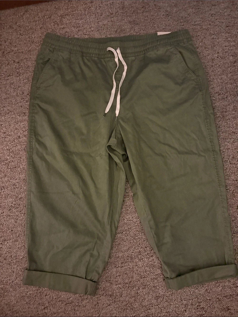 Lane Bryant Olive Drawstring Cropped Chinos